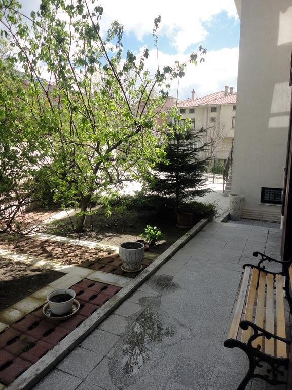 Apartament Guest Casa Luba *